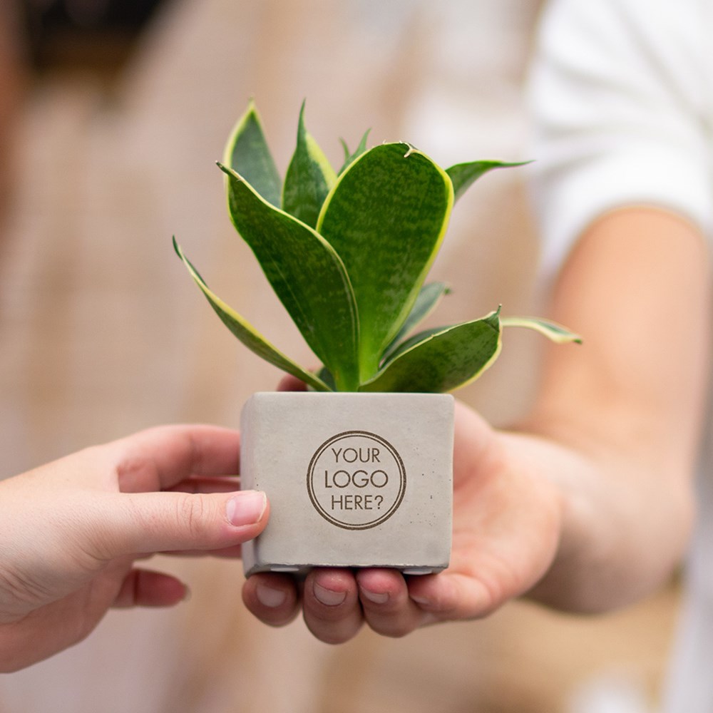 Congreet® plantpots, In giftbox