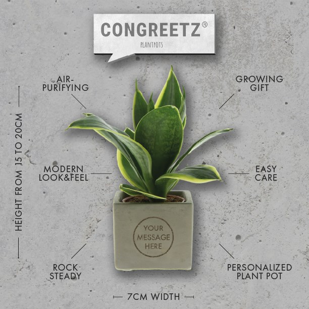 Congreet® plantpots, In giftbox