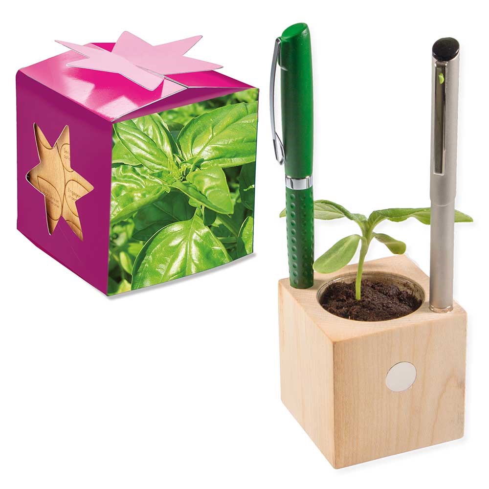 Houten pennenbakje star-box met zaden - Basilicum